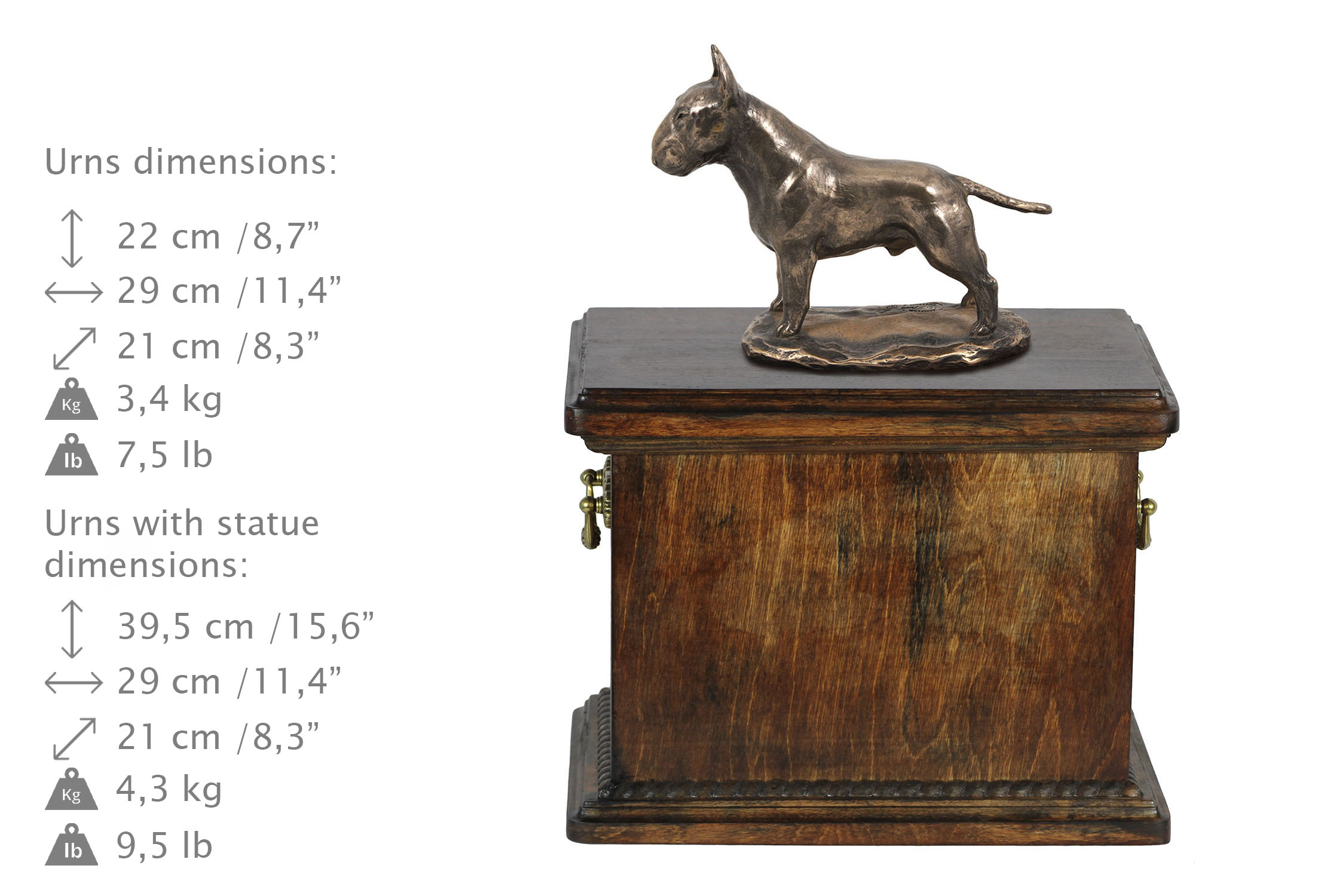 urna dla psa rasy bull terrier