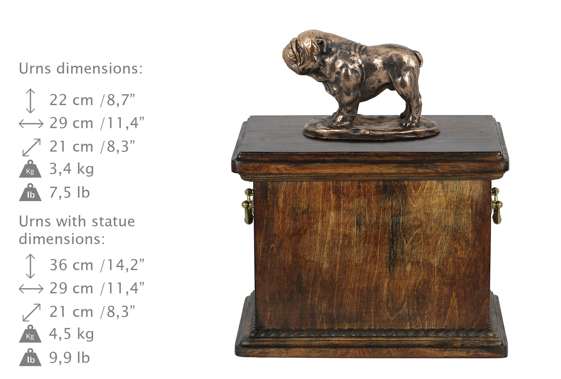 Bulldog urna dla psa