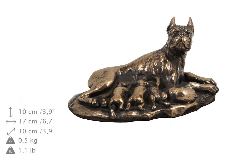 Bokser suczka urna dla psa