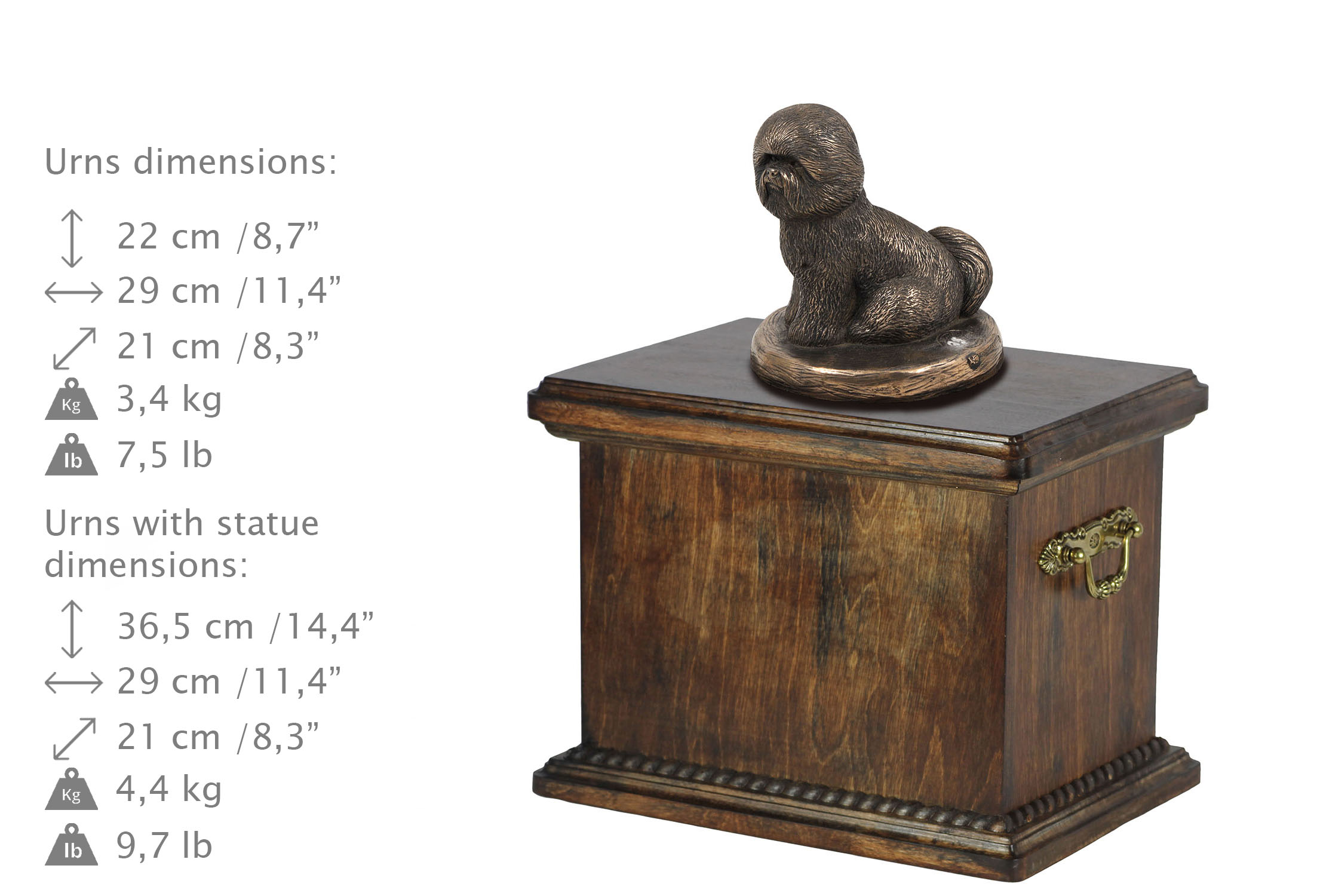 urna dla psa rasy bichon