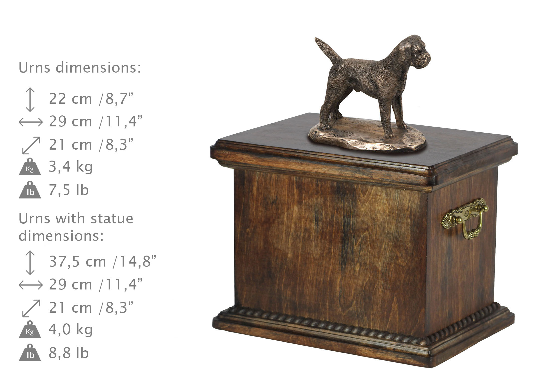 urna dla psa rasy Border Terrier