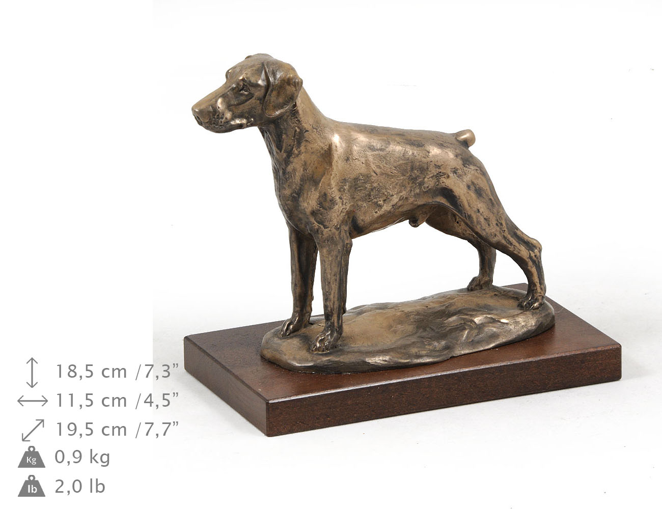 Doberman urna dla psa