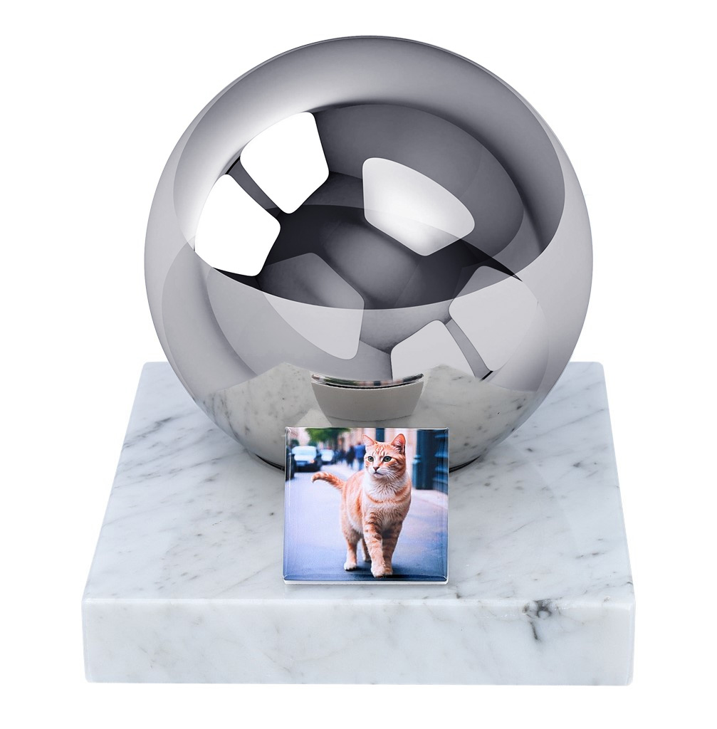 Urna z fotografią dla kota